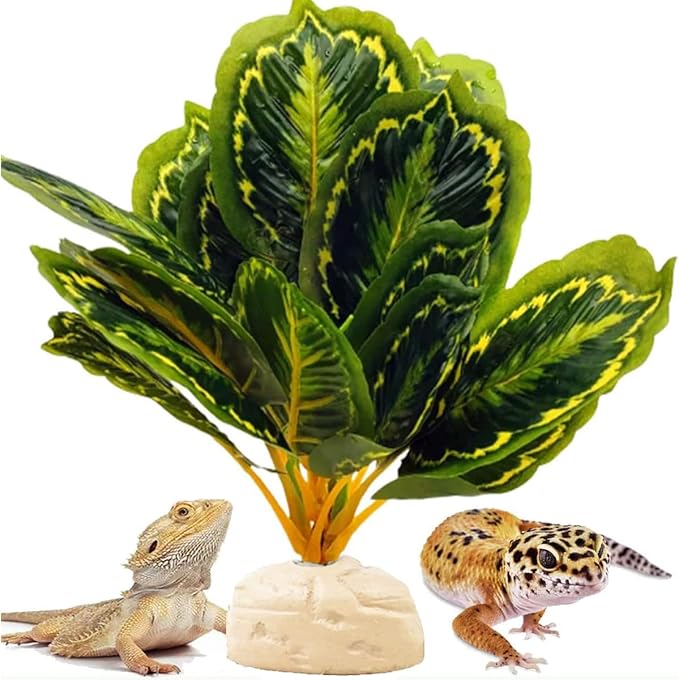 Reptile Decor Plants,Amphibian Habitat Decor,Artificial Plants for Bearded DragonTank Accessories Suitable for Leopard Gecko Lizard Chameleon Snake Tortoise (Calathea makoyana -A)