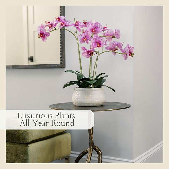 CG Hunter Faux Purple Orchid Plant, Premium Artificial Indoor Flower Display Stands 23”, Beautiful Sculptural Blooms That Lasts Forever, White Planter Pot Included