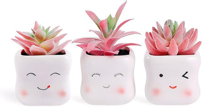 Tiita Cute Artificial Faux Succulents in Pots, Pink Fake Plants Ceramic Arrangement Planter Small Mini Tiny Decoration for Home Office Accessories Women Desk Window Sill Bathroom Bedroom