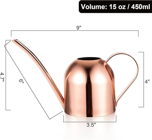 Fasmov Stainless Steel Watering Can, Small Modern Style Watering Pot, 15oz/450ml Plant Watering Can with Long Spout to Prevent Spillage, Perfect for Outdoor and Indoor Plants (Copper)