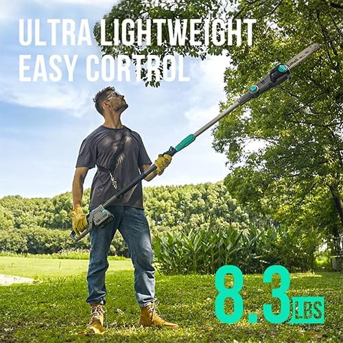 Litheli Cordless Pole Saw,10-Inch 40V Pole Saws for Tree Trimming, Electric Tree Saw for Branch Cutting, Pruning, 2.5Ah Battery& Charger Included