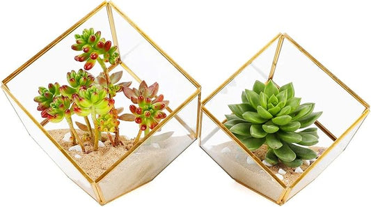 ELEGANTLIFE Glass Geometric Plant Terrarium,Succulent & Air Planter for Home Garden Office Decoration(Gold Cubic Set of 2)