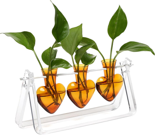 Clear Plant Terrarium Propagation Stations with Acrylic Stand Birthday Gifts for Women Office Home Decor