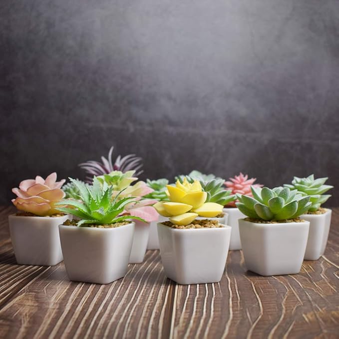 Tiita Artificial Faux Succulents in Pots Fake Plants Plastic Arrangement Planter Small Mini Tiny Decoration for Home Office Desk Window Sill Bathroom Bedroom Outdoor Indoor 12 Set