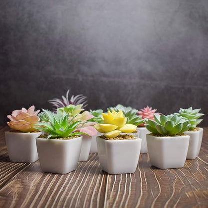 Tiita Artificial Faux Succulents in Pots Fake Plants Plastic Arrangement Planter Small Mini Tiny Decoration for Home Office Desk Window Sill Bathroom Bedroom Outdoor Indoor 12 Set