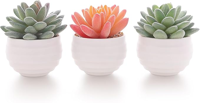 Tiita Artificial Faux Succulents in Pots Fake Plants Ceramic Arrangement Planter for Women Desk Small Mini Tiny Decoration for Home Office Desk Window