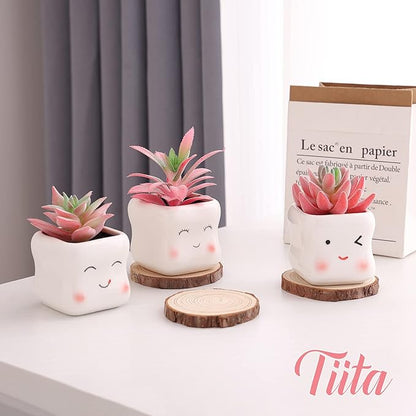 Tiita Cute Artificial Faux Succulents in Pots, Pink Fake Plants Ceramic Arrangement Planter Small Mini Tiny Decoration for Home Office Accessories Women Desk Window Sill Bathroom Bedroom