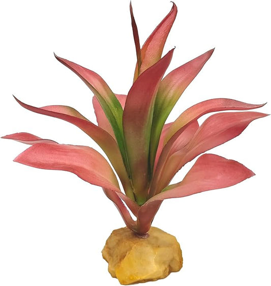 Woyrise Reptile Plants Succulent, Artificial Desert Plant for Terrarium Decor, Bearded Dragon Tank Accessories fit Gecko Lizard Chameleon Ball Python Snake - Guzmania lingulata