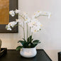 CG Hunter Faux White Orchid Plant, Premium Artificial Indoor Flower Display Stands 23”, Beautiful Sculptural Blooms That Lasts Forever, White Planter Pot Included