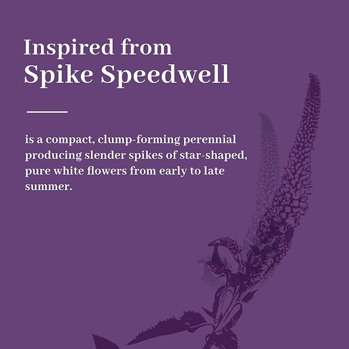 KOL 4ft Artificial Veronica Spiked Speedwell Grass, 47in Faux Veronica Spicata Plant, Tall Horsetail Reed Grass, UV-Resistant Fake Grasses for Indoor/Outdoor Décor, Home Office Wedding Centerpiece