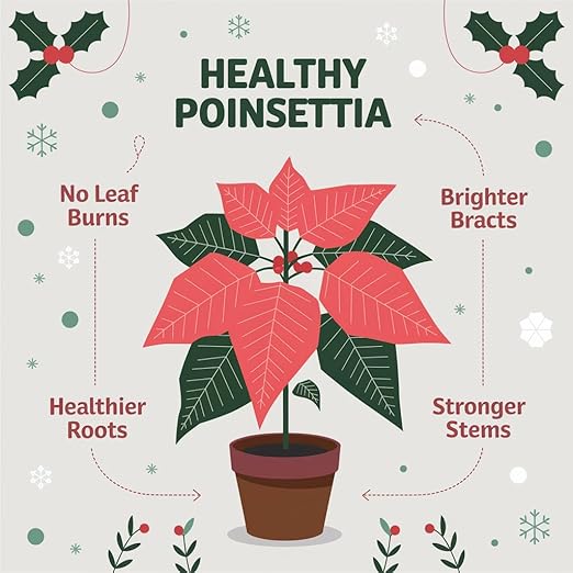 Gardenera Poinsettia Plant Fertilizer - 3-1-2 NPK - Organic Liquid Plant Food for Christmas Flowers and Trees - 8oz Concentrate