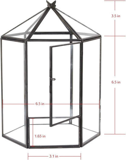 ELEGANTLIFE Glass Geometric Plant Terrarium,Succulent & Air Planter for Home Garden Office Decoration,No Plants(Black Hexagonal)