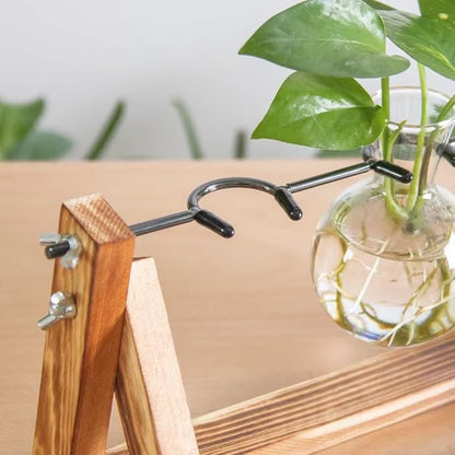 Propagation Station, Plants Terrarium, Plants Lover Gifts for Women,Plant Cutting Holder Home décor,Gifts for Women,House Warming New Home-3 Bulbs-C Type