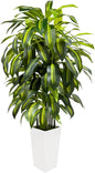 5FT Fake Plant Artificial Dracaena Tree Indoor - Faux Plants Indoor Tall with White Planter - Fake Tree Floor Plant Artificial Plants Decor for Living Room Office
