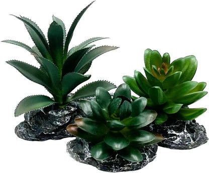 Smoothedo-Pets Reptile Artificial Plants Succulent Terrarium Decor Desert Rainforest Plant Lizard Beard Chameleon Gecko Snake Amphibious Sea Turtle Tank Accessory (Dark-Green-3pcs-Se)