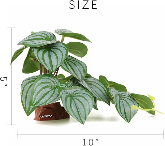 Reptile Fake Plants for Terrarium Decor, Snake Tank Accessories for Leopard Gecko Ball Python Bearded Dragon Crested Gecko Tortoise Frog Lizard Spider - Fake Calathea Orbifolia
