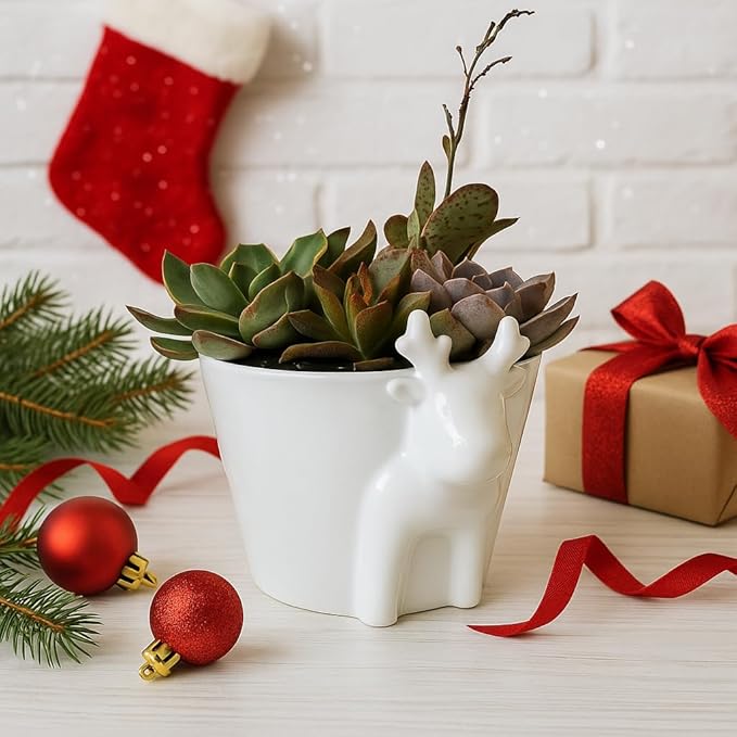Live Succulents Plant in 6" White Reindeer Head Ceramic Pot Ideas 2025, for Plant Lover, Gifts for Wife, Mom, Grandmother