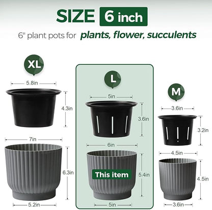T4U 6 Inch Self Watering Pots for Indoor Plants, 6 Pack Plant Pots, Self Watering Planter for Indoor Plants, Durable Plastic Pots, Flower, Succulents (6 Pack, 6", Gray)
