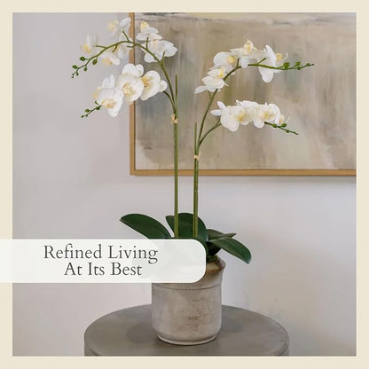 CG Hunter Faux White Orchid Plant, Premium Artificial Indoor Flower Display Stands 24”, Beautiful Sculptural Blooms That Lasts Forever, Grey Planter Pot Included