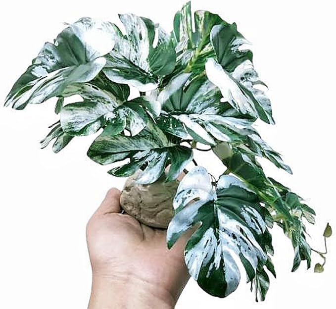 Reptile Fake Plants for Terrarium Artificial Tank Decor Accessories Suitable for Bearded Dragon Ball Python Crested Leopard Gecko Lizard Chameleon Snake-Monstera