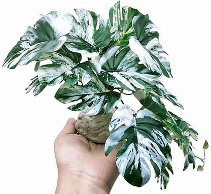 Reptile Fake Plants for Terrarium Artificial Tank Decor Accessories Suitable for Bearded Dragon Ball Python Crested Leopard Gecko Lizard Chameleon Snake-Monstera