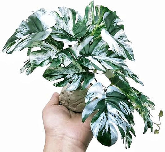Reptile Fake Plants for Terrarium Artificial Tank Decor Accessories Suitable for Bearded Dragon Ball Python Crested Leopard Gecko Lizard Chameleon Snake-Monstera