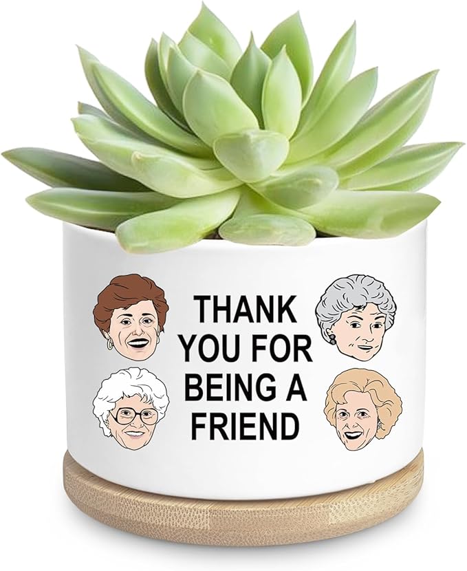 Friend Gifts for Women, Funny Succulent Planter, Flower Cactus Plant Pot, Friendship Gifts for Friend Bestie Sister Birthday, Thank You for Being a Friend Golden Girls Merchandise (Plant Not Included)