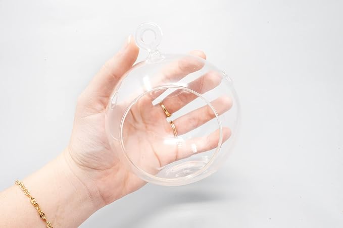 Stunning Flat Bottom Globe Plant Terrarium Kit - Small Assorted Air Plant and Black Stones in Propagation Jar - Home and Garden Decor Plants Pot - Easy Care Indoor and Outdoor Plants Vase