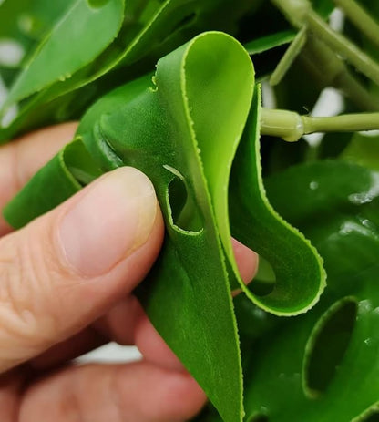 Reptile Plants for Terrarium Decor, Amphibian Habitat Decor, Reptile Tank Accessories, Artificial Hanging Plants with Suction Cup-2 Packs (Swiss Cheese)