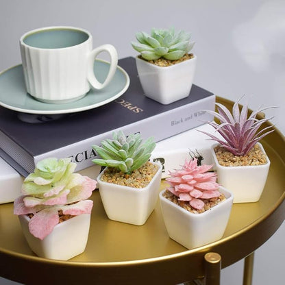 Tiita Artificial Faux Succulents in Pots Fake Plants Plastic Arrangement Planter Small Mini Tiny Decoration for Home Office Desk Window Sill Bathroom Bedroom Outdoor Indoor 12 Set