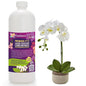 Premium Liquid PHALAENOPSIS Orchid Plant Fertilizer - 3-1-2 Concentrate for Indoor Plants and Flowers by Gardenera | Organic Plant Food for Pothos Plants - 32oz