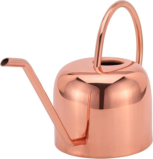 Glytterati - Indoor Watering Can and Planter with Plate.