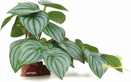 Reptile Fake Plants for Terrarium Decor, Snake Tank Accessories for Leopard Gecko Ball Python Bearded Dragon Crested Gecko Tortoise Frog Lizard Spider - Fake Calathea Orbifolia