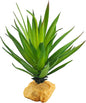 Woyrise Reptile Plants Succulent, Artificial Desert Plant for Terrarium Decor, Bearded Dragon Tank Accessories fit Gecko Lizard Chameleon Ball Python Snake - Agave Sisalana
