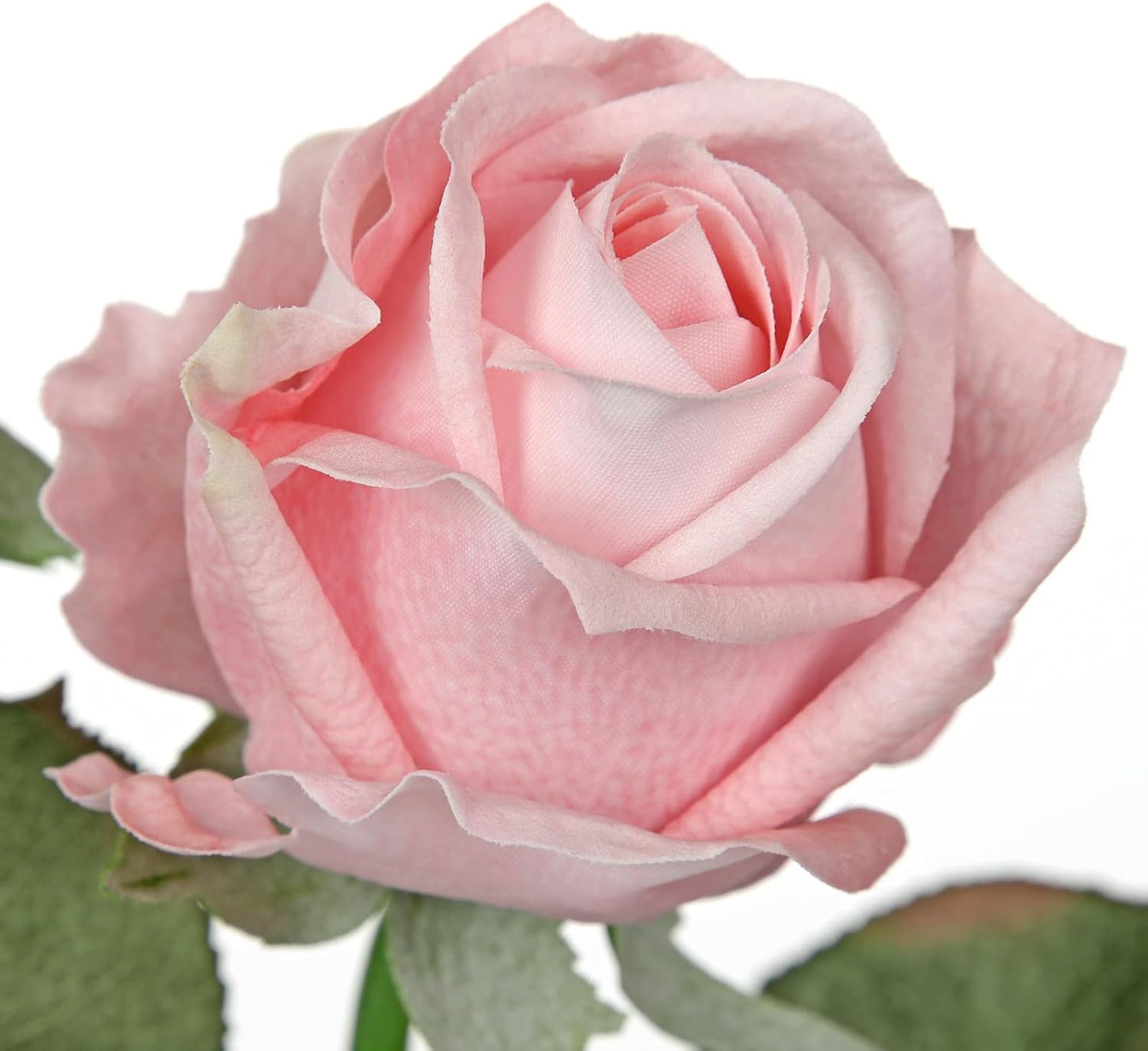 Artificial Realistic Roses Pale Pink Flowers 24" Real Touch Silk Roses Bouquet Long Stems Rose Fake Roses Decor for Home Party Wedding Table Centerpieces Roses Realistic - 5 Pcs