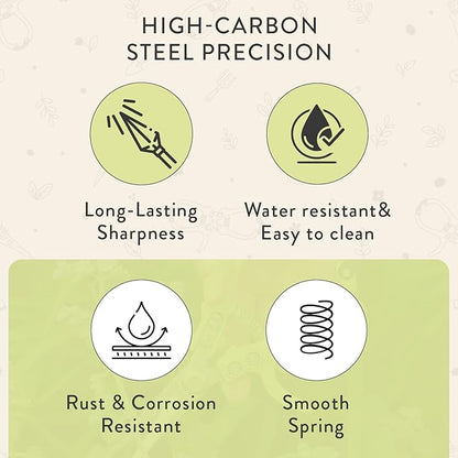 Modern Sprout Hand Pruners & Shears Set with Blister Pack - Lightweight Gardening Tools with Easy Lock - Sharp Carbon Steel Blades -Rust Resistant Scissors for Herbs, Flowers - Chartreuse