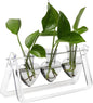 Clear Plant Terrarium Propagation Stations with Acrylic Stand Birthday Gifts for Women Office Home Decor