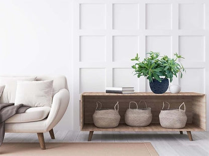 AlphaAcc 9.5" Artificial Plants with Olive Leaves Real Looking Faux Plants Fake Greenery Potted in Black Round Ball Planter for Tabletop Bathroom Kitchen Office Housewarming Gift Home Decor