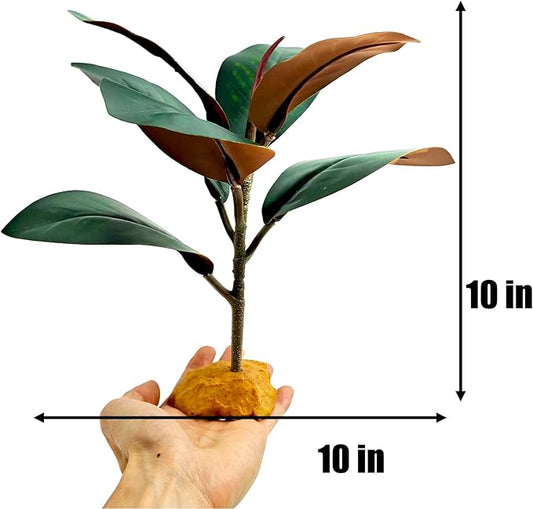 Woyrise Reptile Plants for Terrarium, 9" Fake Rubber Tree Ball Python Tank Accessories Habitat Decor fit Crested Gecko Leopard Bearded Dragon Lizard Chameleon Snake - Ficus Elastica Decora