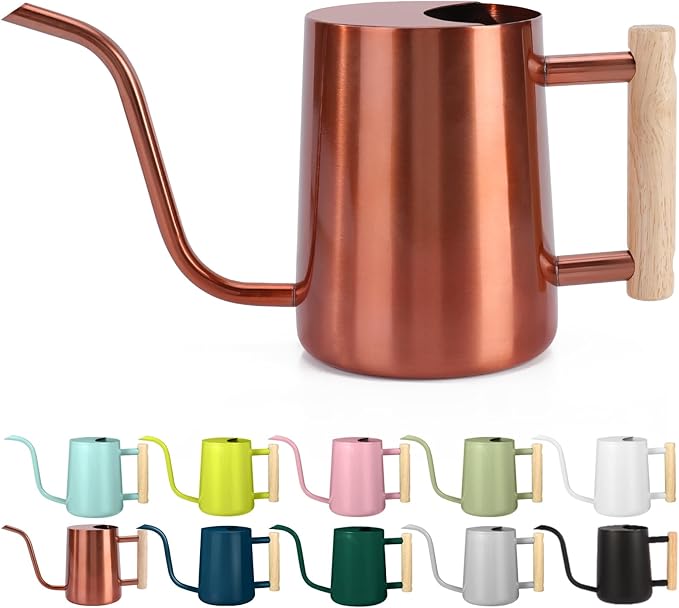 Watering Can Indoor Plants, 35oz Small Stainless Steel Metal Watering Can Modern Decorative Watering Pot with Long Spout for Indoor House Plant Bonsai Garden Flowers (Copper)