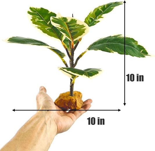 Woyrise Reptile Plants for Terrarium, 9" Fake Rubber Tree Ball Python Tank Accessories Habitat Decor fit Crested Gecko Leopard Bearded Dragon Lizard Chameleon Snake - Ficus Elastica Tineke