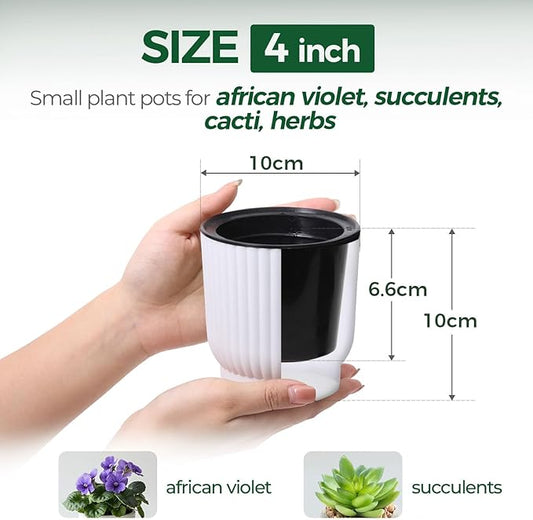 T4U 4 Inch Plant Pots Self Watering, 6 Pack African Violet Pots, Small Plant Pots for Plants, Small Indoor Plant Pot, Self Watering Planter for African Violet, Succulents (6 Pack, 4", White)