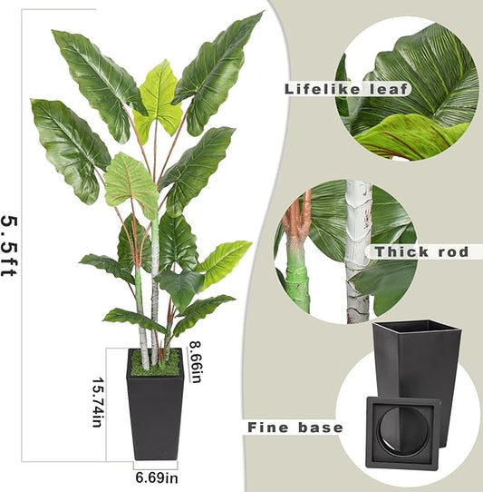 Artificial Plant Indoor 5.5FT - Fake Tree with Black Tall Planter - Faux Silk Plants Tall Fake Floor Plant in Pot - Artificial Trees for Home Office Living Room Decor Indoor