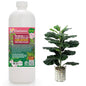 Gardenera Premium Liquid Hoya Fertilizer - 3-1-2 Concentrate for Indoor Plants and Flowers - Organic Plant Food - 32oz