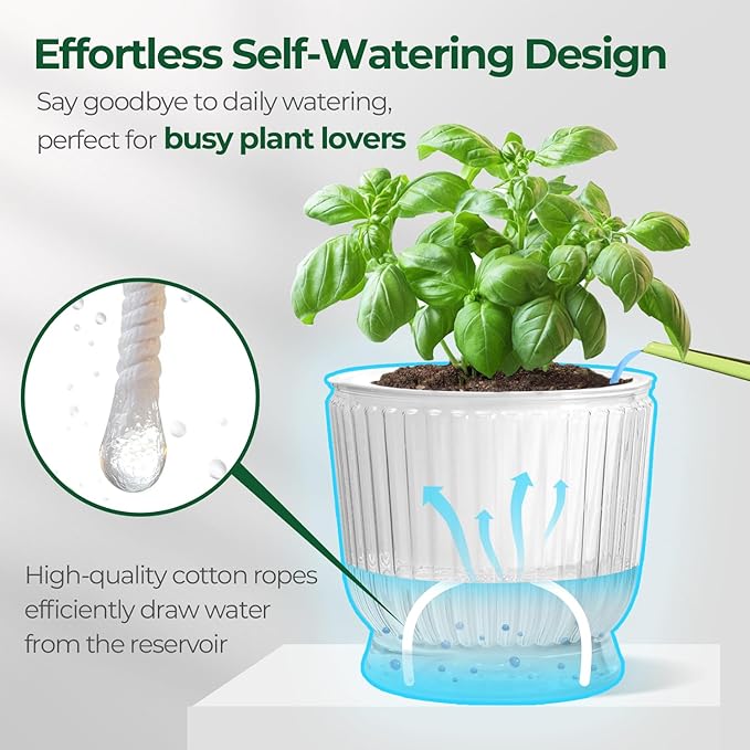 T4U 4 Inch Self Watering Plant Pot, 4 Pack Self Watering Pots, Self Watering Planter with Reservoir, Clear Self Watering Pots for Indoor Plants, African Violets, Flowers (4 Pack, 4", Clear)