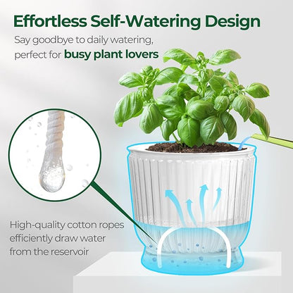 T4U 4.8 Inch Self Watering Plant Pot, 4 Pack Self Watering Pots, Self Watering Planter with Reservoir, Small Self Watering Pots for Indoor Plants, African Violets (4 Pack, 4.8", Clear)