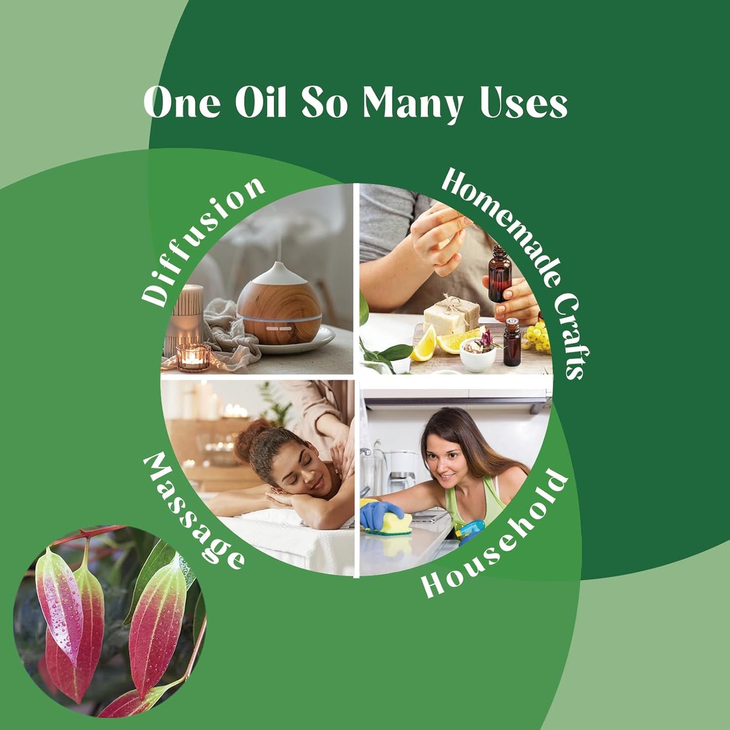 Cinnamon Leaf Oil Essential Oil for Room Spray, Diffuser, DIY Home Crafts - 4 Oz