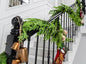 Faux Norfolk Pine Christmas Garland – Real Touch Greenery Artificial Cedar Christmas Garland for Fireplace Mantel, Staircase, Door Frame, Holiday Indoor Winter Décor (12FT)