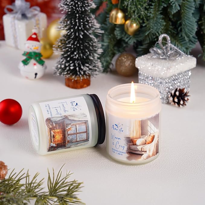 Mulled Cider Candle - Holiday Scented Candle for Home - Winter Christmas Gifts