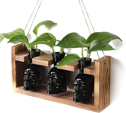 Plant Terrarium Propagation Stations Hydroponics Halloween Skull Planter Vase Skulls Decor with Wooden Stand Gife for Father